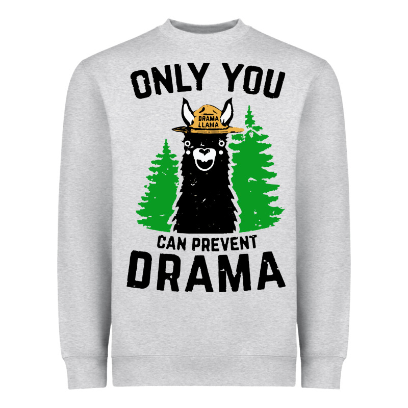 Only You Can Prevent Drama Llama Heavyweight Sweatshirt by artisFamous | Teevron