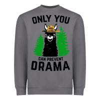 Storm only you can prevent drama llama Heavyweight Sweatshirt - artisFamous