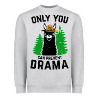 Only You Can Prevent Drama Llama Heavyweight Sweatshirt | Teevron