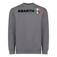 Storm abarth italy merch Heavyweight Sweatshirt - artisFamous