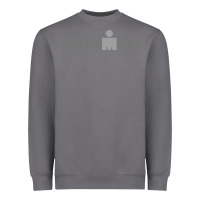 Storm Ironman Heavyweight Sweatshirt - artisFamous