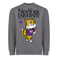Storm New York University Heavyweight Sweatshirt - artisFamous