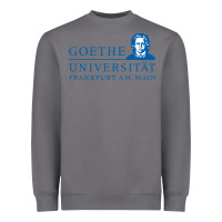 Storm Goethe University Frankfurt Am Main Heavyweight Sweatshirt - artisFamous