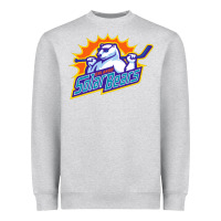 Solar Bears Heavyweight Sweatshirt | Teevron