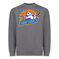 Storm solar bears Heavyweight Sweatshirt - artisFamous