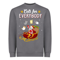 Storm cats for everybody cat christmas ugly christmas sweatshirt Heavyweight Sweatshirt - artisFamous