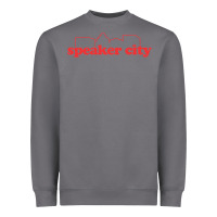 Storm speaker city Heavyweight Sweatshirt - artisFamous