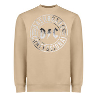 Mushroom DASHBOARD CONFESSIONAL Heavyweight Sweatshirt - artisFamous