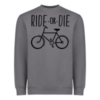 Storm ride or die bicycle Heavyweight Sweatshirt - artisFamous
