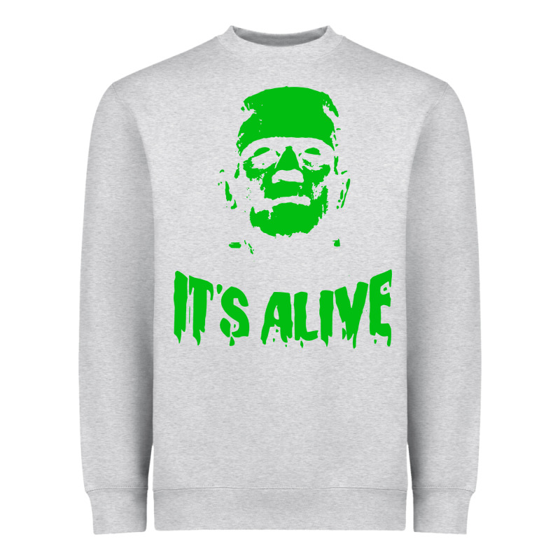 Frankenstein Heavyweight Sweatshirt by artisFamous | Teevron