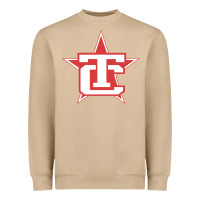 Mushroom Traverse City North Stars Heavyweight Sweatshirt - artisFamous