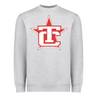 Heather Grey Traverse City North Stars Heavyweight Sweatshirt - artisFamous