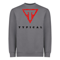 Storm typical gamer Heavyweight Sweatshirt - artisFamous