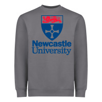 Storm Newcastle Gift Heavyweight Sweatshirt - artisFamous