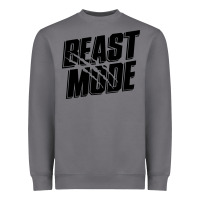 Storm beast mode classic Heavyweight Sweatshirt - artisFamous