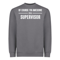 Storm i'm awesome i'm a supervisor Heavyweight Sweatshirt - artisFamous