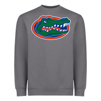 Storm gators gator Heavyweight Sweatshirt - artisFamous