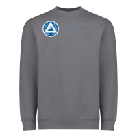 Storm National Louis College Heavyweight Sweatshirt - artisFamous