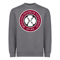 Storm Rosalind Franklin College of Medicine and Science Heavyweight Sweatshirt - artisFamous