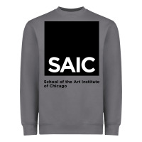 Storm School of The Art Institute of Chicago College Heavyweight Sweatshirt - artisFamous