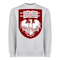 Heather Grey College of Chicago Heavyweight Sweatshirt - artisFamous