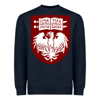 Navy College of Chicago Heavyweight Sweatshirt - artisFamous