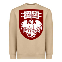 College Of Chicago Heavyweight Sweatshirt | Teevron
