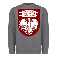Storm College of Chicago Heavyweight Sweatshirt - artisFamous