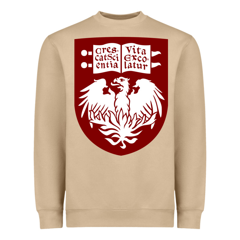 College Of Chicago Heavyweight Sweatshirt by artisFamous | Teevron