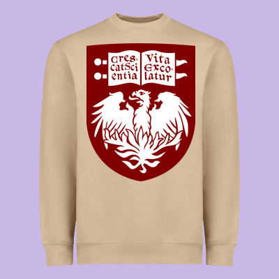 College Of Chicago Heavyweight Sweatshirt Designed By Artisfamous