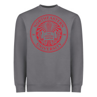 Storm northeastern university Heavyweight Sweatshirt - artisFamous
