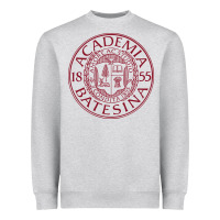 Heather Grey seal bates college Heavyweight Sweatshirt - artisFamous