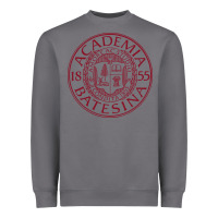 Storm seal bates college Heavyweight Sweatshirt - artisFamous