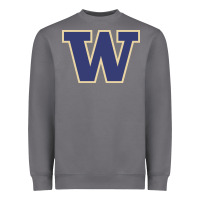 Storm washington Heavyweight Sweatshirt - artisFamous