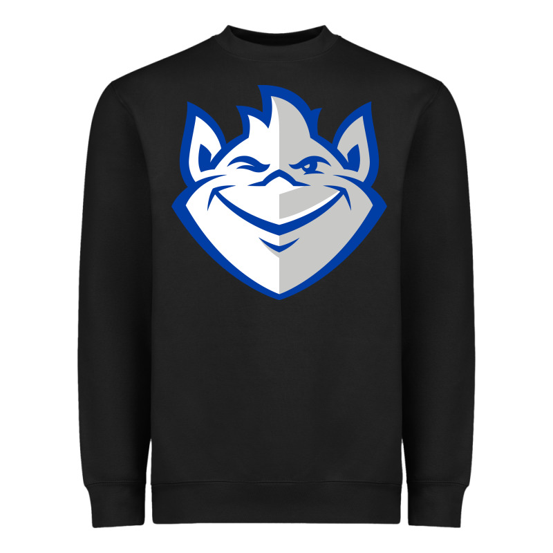 Saint Louis Billikens Heavyweight Sweatshirt by artisFamous | Teevron