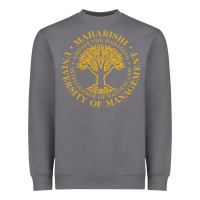 Storm Maharishi International College Heavyweight Sweatshirt - artisFamous
