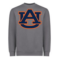 Storm auburn tigers Heavyweight Sweatshirt - artisFamous