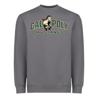 Storm cal poly mustangs Heavyweight Sweatshirt - artisFamous