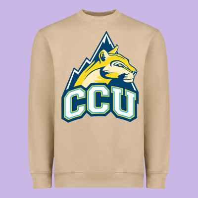 Colorado Christian Heavyweight Sweatshirt Designed By Artisfamous