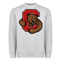 Heather Grey cornell big red Heavyweight Sweatshirt - artisFamous