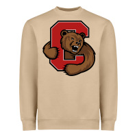 Mushroom cornell big red Heavyweight Sweatshirt - artisFamous