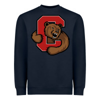 Navy cornell big red Heavyweight Sweatshirt - artisFamous