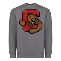 Storm cornell big red Heavyweight Sweatshirt - artisFamous