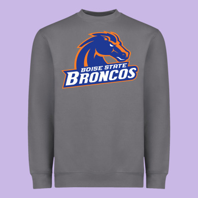 Boise Design Heavyweight Sweatshirt Designed By Artisfamous