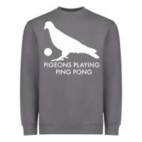 Storm Best Pigeons Playing Ping Pong Music Heavyweight Sweatshirt - artisFamous
