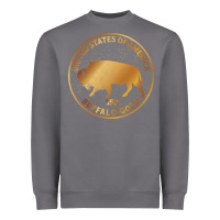 Storm Buffalo Gold Native American - Bison Heavyweight Sweatshirt - artisFamous