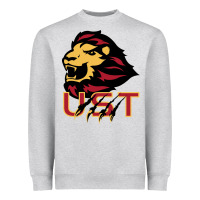 Heather Grey university of saint thomas spirit Heavyweight Sweatshirt - artisFamous