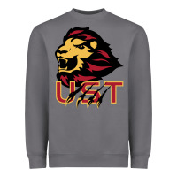 Storm university of saint thomas spirit Heavyweight Sweatshirt - artisFamous