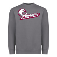 Storm augsburg university Heavyweight Sweatshirt - artisFamous