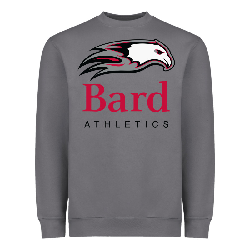 Bard College Athletics Heavyweight Sweatshirt by artisFamous | Teevron
